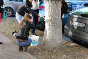 IMG_2910-300.jpg